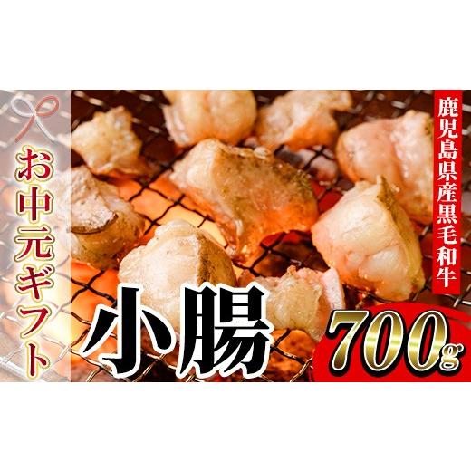 ふるさと納税 牛肉 ホルモン 鹿児島県 いちき串木野市 お中元 鹿児島県産 黒毛和牛 小腸 ホルモン 700g 国産 鹿児島県産 黒毛和牛 小腸 モツ 生ホルモン 焼肉…