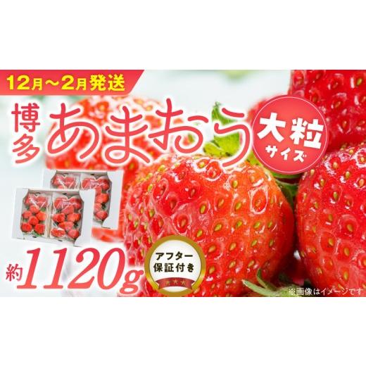 ふるさと納税 いちご 福岡県 久留米市 福岡県産あまおういちご 約280g以上×4パック(大粒) 12月〜2月発送 _ いちご あまおう 約280g 以上 4パック 大粒 果…