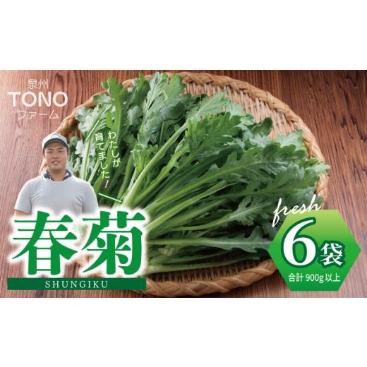 ふるさと納税 野菜類 大阪府 泉佐野市 先行予約 TONOファーム 春菊 6袋(合計900g以上)