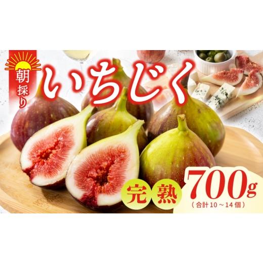 ふるさと納税 いちじく 大阪府 泉佐野市 先行予約 農家直送 朝採り 完熟いちじく 700g以上