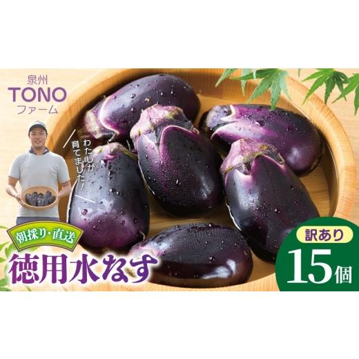 ふるさと納税 野菜類 茄子 大阪府 泉佐野市 先行予約 朝採り直送 徳用水なす 15個 訳あり 規格外