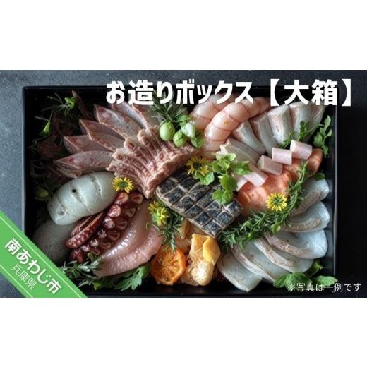ふるさと納税 旬の鮮魚等 兵庫県 南あわじ市 お造りボックス 大箱