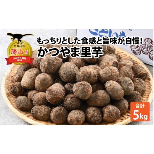 ふるさと納税 野菜類 福井県 勝山市 先行予約 令和8年産 かつやま里芋 5kg(2026年10月27日より順次発送)