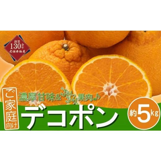 ふるさと納税 みかん・柑橘類 デコポン 香川県 丸亀市 先行予約 デコポン 家庭用 約5kg 不知火 しらぬい 柑橘 果物 フルーツ 果実 みかん ふるさと納税 スイー…