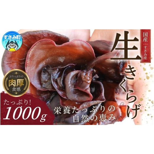 ふるさと納税 野菜類 きのこ 和歌山県 すさみ町 国産 きくらげ すさみの生きくらげ 1000g 木耳 キクラゲ 生木耳 生キクラゲ 国産キクラゲ 国産きくらげ 国産…