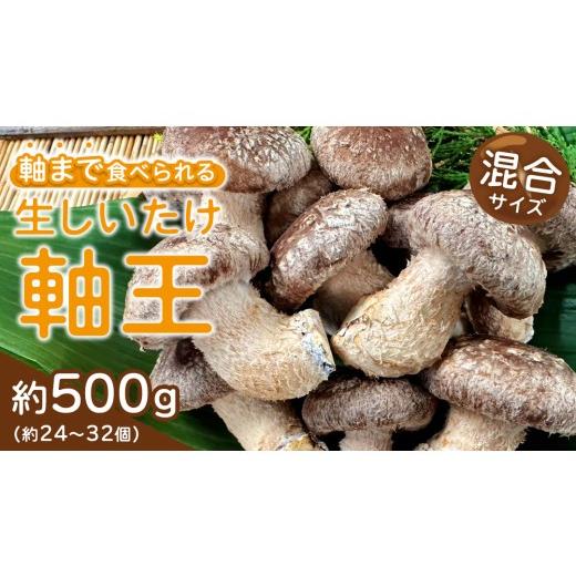 ふるさと納税 野菜類 きのこ 茨城県 つくばみらい市 産地直送 軸まで美味しい『軸王しいたけ』サイズ混合 約500g (約24〜32個) しいたけ 椎茸 シイタケ きのこ…