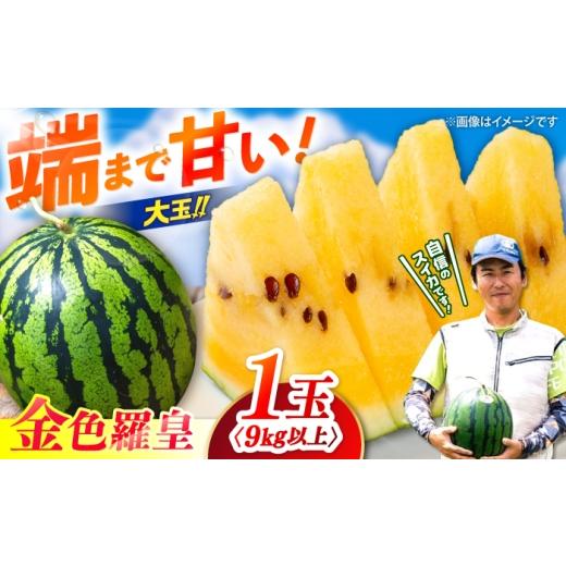 ふるさと納税 スイカ 長崎県 西海市 3L〜4Lサイズ 勝田農園の自信満々大玉スイカ 金色羅皇1玉(9kg以上) 勝田農園 CGM007 長崎 西海 すいか suika 甘い 大…