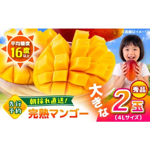 ふるさと納税 マンゴー 熊本県 合志市 先行予約 2026年6月上旬から順次発送 秀品 菊池マンゴー2玉 各625g以上 4Lサイズ 青秀 アップルマンゴー まんごー mang…