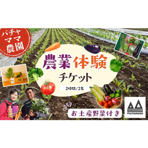 ふるさと納税 セット・詰合せ 茨城県 下妻市 農業体験チケット(2時間/2名)+お土産野菜付き 1枚 農業体験 体験 野菜 農作業 家族 親子 畑 お土産 2時間/2名…
