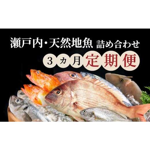 ふるさと納税 旬の鮮魚等 広島県 三原市 3か月定期便 瀬戸内産 鮮魚 地魚詰め合わせ(3〜5種類)計3回お届け 瀬戸内の天然鯛入り/ 地魚 鯛 天然鯛 真鯛 天然…