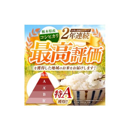 ふるさと納税 米 コシヒカリ 栃木県 那珂川町 先行予約 定期2回 こしひかり（玄米）約 5kg 栃木県共通返礼品｜コシヒカリ 米 玄米 おいしい お米 こめ おこめ…_3
