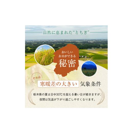 ふるさと納税 米 コシヒカリ 栃木県 那珂川町 先行予約 定期2回 こしひかり（玄米）約 5kg 栃木県共通返礼品｜コシヒカリ 米 玄米 おいしい お米 こめ おこめ…_7
