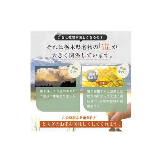 ふるさと納税 米 コシヒカリ 栃木県 那珂川町 先行予約 定期2回 こしひかり（玄米）約 5kg 栃木県共通返礼品｜コシヒカリ 米 玄米 おいしい お米 こめ おこめ…_8