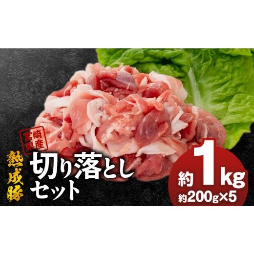 ふるさと納税 豚肉 宮崎県 延岡市 宮崎県産熟成豚 切り落としセット 約200g×5個 N0105-YA2280 約200g×5個