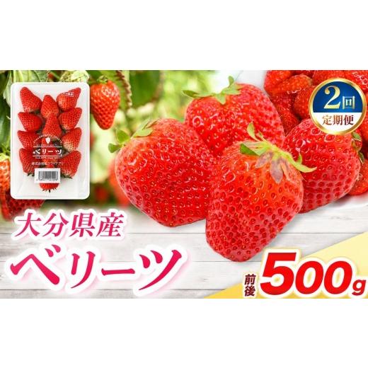 ふるさと納税 いちご 大分県 中津市 定期便2回 ベリーツ × 2パック ( 約500g ) ( 1パック/250g前後 ) | 苺 イチゴ いちご ベリー フルーツ 果物 くだもの …