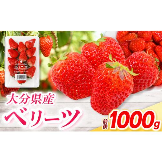 ふるさと納税 いちご 大分県 中津市 ベリーツ × 4パック ( 約1000g ) ( 1パック/250g前後 ) | 苺 イチゴ いちご ベリー フルーツ 果物 くだもの 大分県産 産…