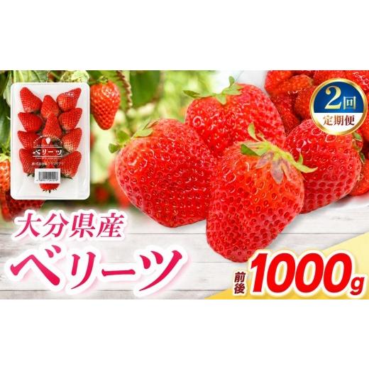 ふるさと納税 いちご 大分県 中津市 定期便2回 ベリーツ × 4パック ( 約1000g ) ( 1パック/250g前後 ) | 苺 イチゴ いちご ベリー フルーツ 果物 くだもの …