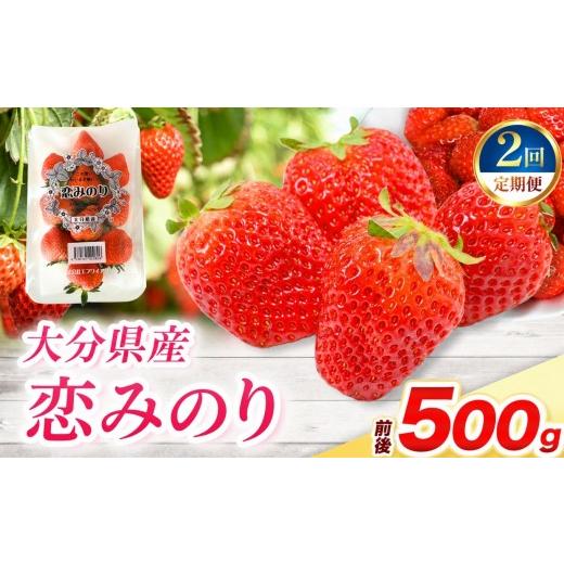 ふるさと納税 いちご 大分県 中津市 定期便2回 恋みのり × 2パック ( 約500g ) ( 1パック/250g前後 ) | 苺 イチゴ いちご ベリー フルーツ 果物 くだもの …