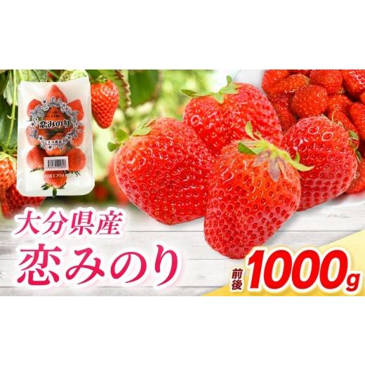 ふるさと納税 いちご 大分県 中津市 恋みのり × 4パック ( 約1000g ) ( 1パック/250g前後 ) | 苺 イチゴ いちご ベリー フルーツ 果物 くだもの 大分県産 産…