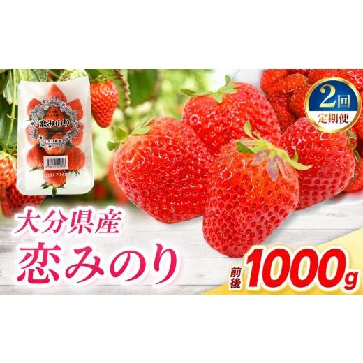 ふるさと納税 いちご 大分県 中津市 定期便2回 恋みのり × 4パック ( 約1000g ) ( 1パック/250g前後 ) | 苺 イチゴ いちご ベリー フルーツ 果物 くだもの …