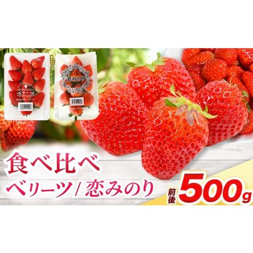 ふるさと納税 いちご 大分県 中津市 ベリーツ ・ 恋みのり 食べ比べセット 各250g ( 約500g ) | 苺 イチゴ いちご ベリー フルーツ 果物 くだもの 大分県産 産…