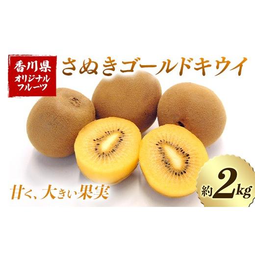 ふるさと納税 果物類 香川県 琴平町 先行予約2026年10月〜2026年12月頃お届け さぬきゴールドキウイ (約2kg) フルーツ 果物 くだもの ゴールド キウイ キウイ…