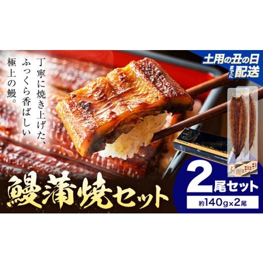 ふるさと納税 惣菜・レトルト 鹿児島県 さつま町 土用の丑の日 鰻 うなぎ 蒲焼き 2尾 (1尾約140g) タレ 山椒 付き 株式会社薩摩川内鰻[7月中旬-7月下旬頃出…