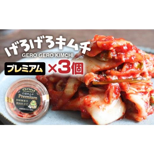 ふるさと納税 加工品等 キムチ 岐阜県 下呂市 げろげろキムチ (プレミアム×3個) 飛騨 つけもの 漬物 下呂市 下呂 (10,000円)げろげろキムチ (プレミアム×…