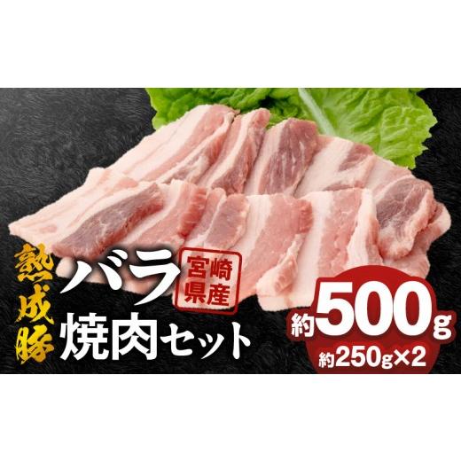 ふるさと納税 豚肉 バラ 宮崎県 延岡市 宮崎県産熟成豚 バラ焼肉セット 約250g×2個 N0105-YA2282 約250g×2個