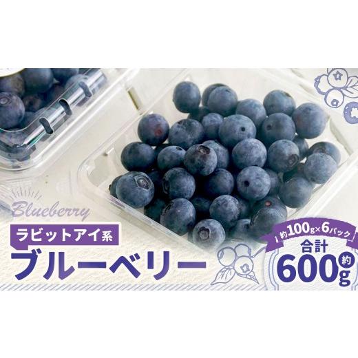 ふるさと納税 果物類 岡山県 美咲町 ラビットアイ系 ブルーベリー 約100g × 6パック 合計約600g くだもの 果物 フルーツ 果実 果汁 果肉 新鮮 国産 岡山県産 …