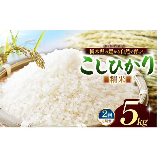 ふるさと納税 米 コシヒカリ 栃木県 那珂川町 先行予約 栃木県共通返礼品 定期2回 こしひかり(白米)約 5kg |コシヒカリ 米 白米 おいしい お米 こめ おこ…