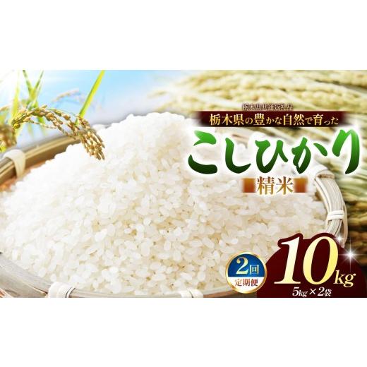 ふるさと納税 米 コシヒカリ 栃木県 那珂川町 先行予約 定期2回 こしひかり(白米)約 10kg 栃木県共通返礼品|コシヒカリ 米 白米 おいしい お米 こめ おこ…