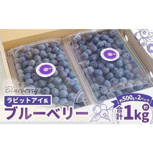 ふるさと納税 果物類 岡山県 美咲町 ラビットアイ系 ブルーベリー 約500g × 2パック 合計約1kg くだもの 果物 フルーツ 果実 果汁 果肉 新鮮 国産 岡山県産 …