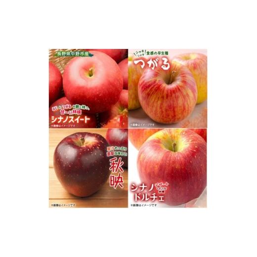 ふるさと納税 りんご 長野県 中野市 季節のおすすめリンゴ 1ケース約4.8kg 1731399
