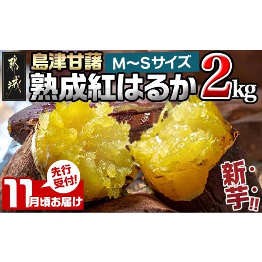 ふるさと納税 野菜類 サツマイモ 宮崎県 都城市 先行受付 11月お届け 島津甘藷 熟成紅はるか 2kg(M〜S)_LB-A7-001-2kg-11_(都城市) さつまいも 幻のサツマイ…