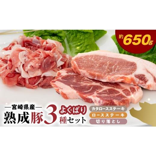 ふるさと納税 豚肉 セット 宮崎県 延岡市 宮崎県産熟成豚 よくばり3種セットB-1(ステーキ2種 各1個/切り落とし2個)N0105-YA2285 ステーキ2種 各1個/切り落…