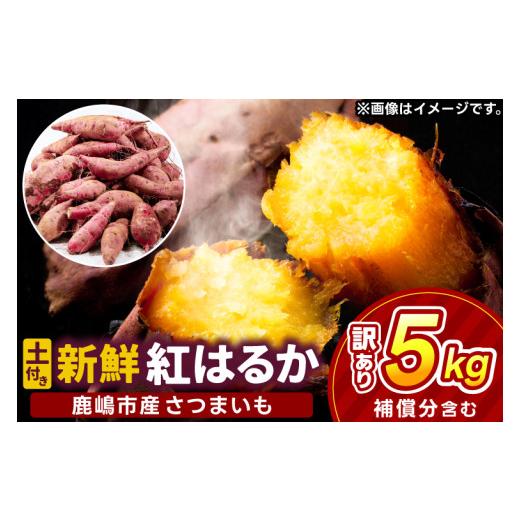 ふるさと納税 野菜類 サツマイモ 茨城県 鹿嶋市 訳あり さつまいも 紅はるか 約5kg 数量限定 土付き 先行予約 べにはるか 野菜 甘い 焼きいも スイートポテト …