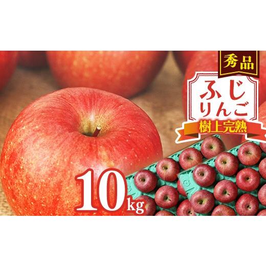 ふるさと納税 りんご 山形県 寒河江市 令和8年産 樹上完熟 りんご 10kg 秀品 「ふじりんご」 2026年産 山形県産 2026年11月下旬頃から12月下旬頃発送予定 03…