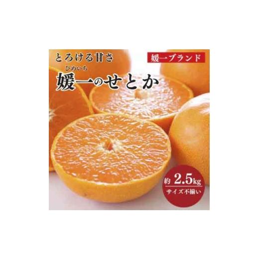 ふるさと納税 みかん・柑橘類 愛媛県 八幡浜市 先行受付 愛媛の柑橘の代名詞 「せとか」約2.5kg入 C28-40 _みかん ミカン 柑橘 せとか フルーツ くだもの 果…