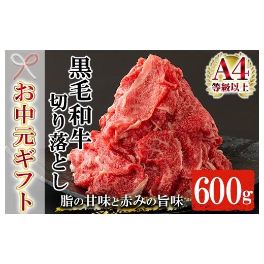 ふるさと納税 牛肉 すき焼き 鹿児島県 いちき串木野市 お中元 鹿児島県産 黒毛和牛 切り落とし 約600g(300g×2P)A4等級以上 冷凍 小分け 国産 鹿児島県産 …