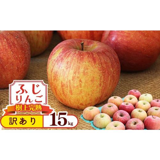 ふるさと納税 りんご 山形県 寒河江市 令和8年産 訳あり りんご 15kg 「ふじりんご」生産者直送 2026年産 山形県産 2026年11月下旬頃から12月下旬頃発送予定 …