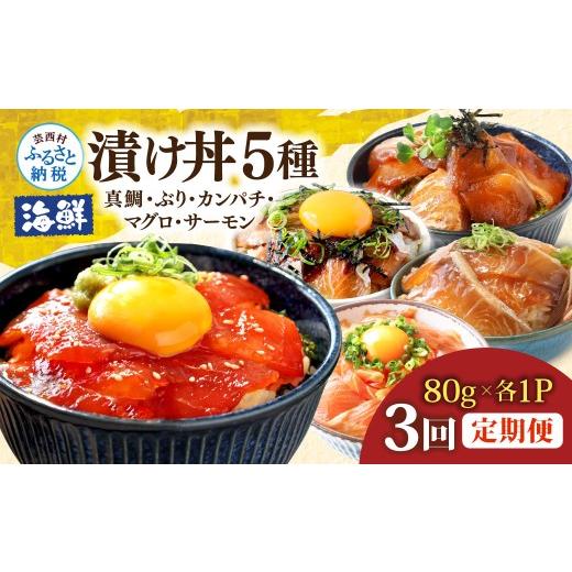 ふるさと納税 魚貝類 鯛 高知県 芸西村 漬け丼5種セット 真鯛・ブリ・カンパチ・マグロ・サーモン 1食80g×各1P 3回定期便 タイ 鰤 鮪 海鮮丼 刺身 海鮮 魚介 …