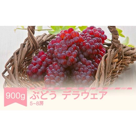 ふるさと納税 ぶどう 山形県 村山市 先行予約 デラウェア 約900g 令和8年産 2026年産 果物 葡萄 ぶどう mm-budwx900