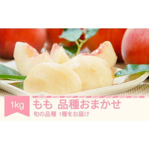 ふるさと納税 もも 山形県 村山市 先行予約 もも 桃 品種おまかせ 約1kg 令和8年産 2026年産 果物 フルーツ mm-moomx1000
