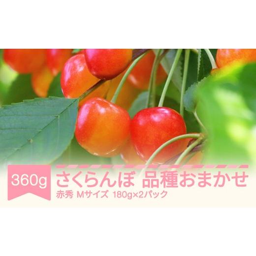 ふるさと納税 果物類 さくらんぼ 山形県 村山市 先行予約 さくらんぼ 品種おまかせ 赤秀 Mサイズ 180×2パック 2026年産 令和8年産 山形県産 mm-saoam360