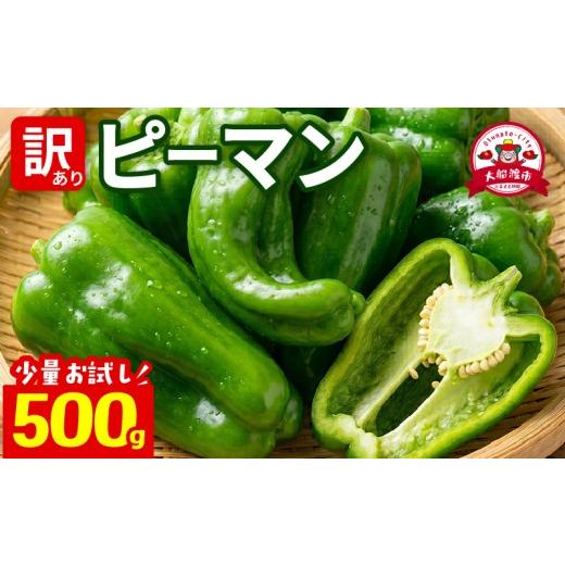 ふるさと納税 野菜類 岩手県 大船渡市 訳ありピーマン500g 7-9月発送 規格外 ピーマン 野菜 やさい 赤 緑 完熟 ぴーまん 食品 旨味 ミネラル 栄養 自宅用 お試…