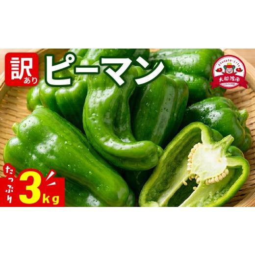 ふるさと納税 野菜類 岩手県 大船渡市 訳ありピーマン3kg 7-9月発送 規格外 ピーマン 野菜 やさい 赤 緑 完熟 ぴーまん BBQ バーベキュー 焼き肉 焼肉 食品 旨…