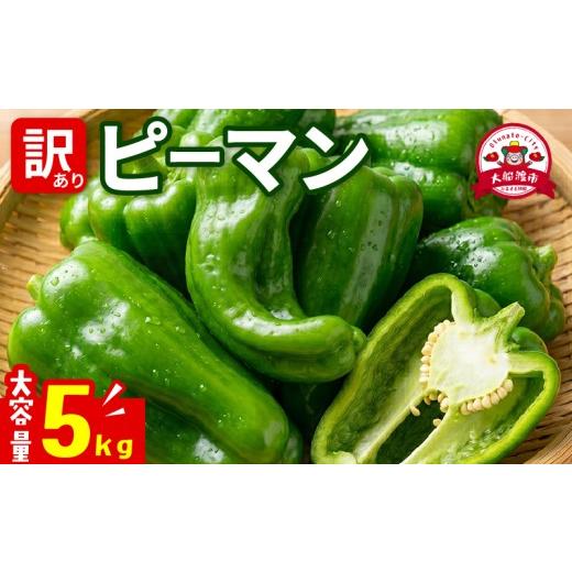 ふるさと納税 野菜類 岩手県 大船渡市 訳ありピーマン5kg 7-9月発送 規格外 大容量 ピーマン 野菜 やさい 赤 緑 完熟 ぴーまん お裾分け 食品 旨味 ミネラル …