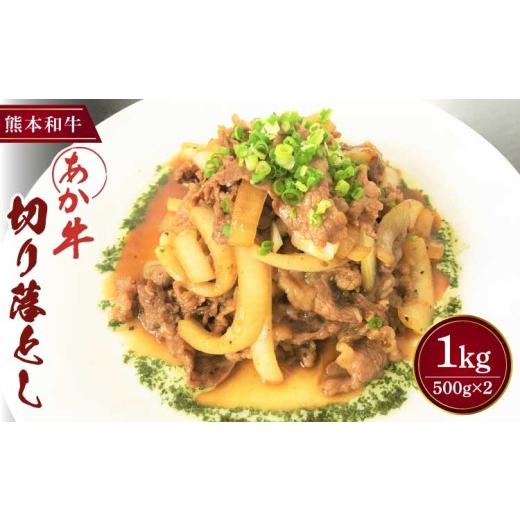 ふるさと納税 肉 ハンバーグ 熊本県 宇城市 切り落とし あか牛 和牛 牛肉 肉 1kg (500g×2パック) 熊本 阿蘇 国産 九州 自社牧場 直送 すき焼き 牛丼 肉じゃが…