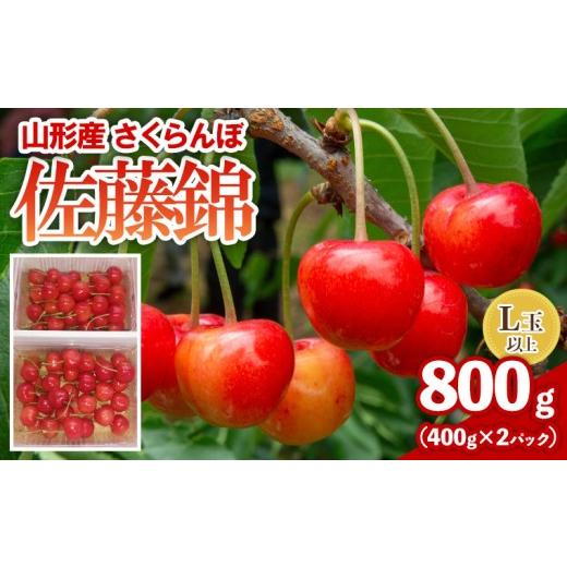 ふるさと納税 果物類 さくらんぼ 山形県 山形市 さくらんぼ(佐藤錦) 800g L以上 FY26-076